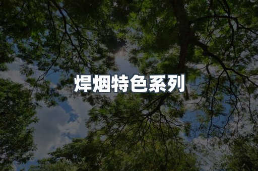 焊烟特色系列