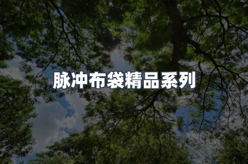 脉冲布袋精品系列
